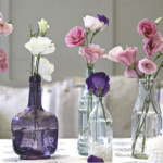 como mantener mas tiempo frescas las flores